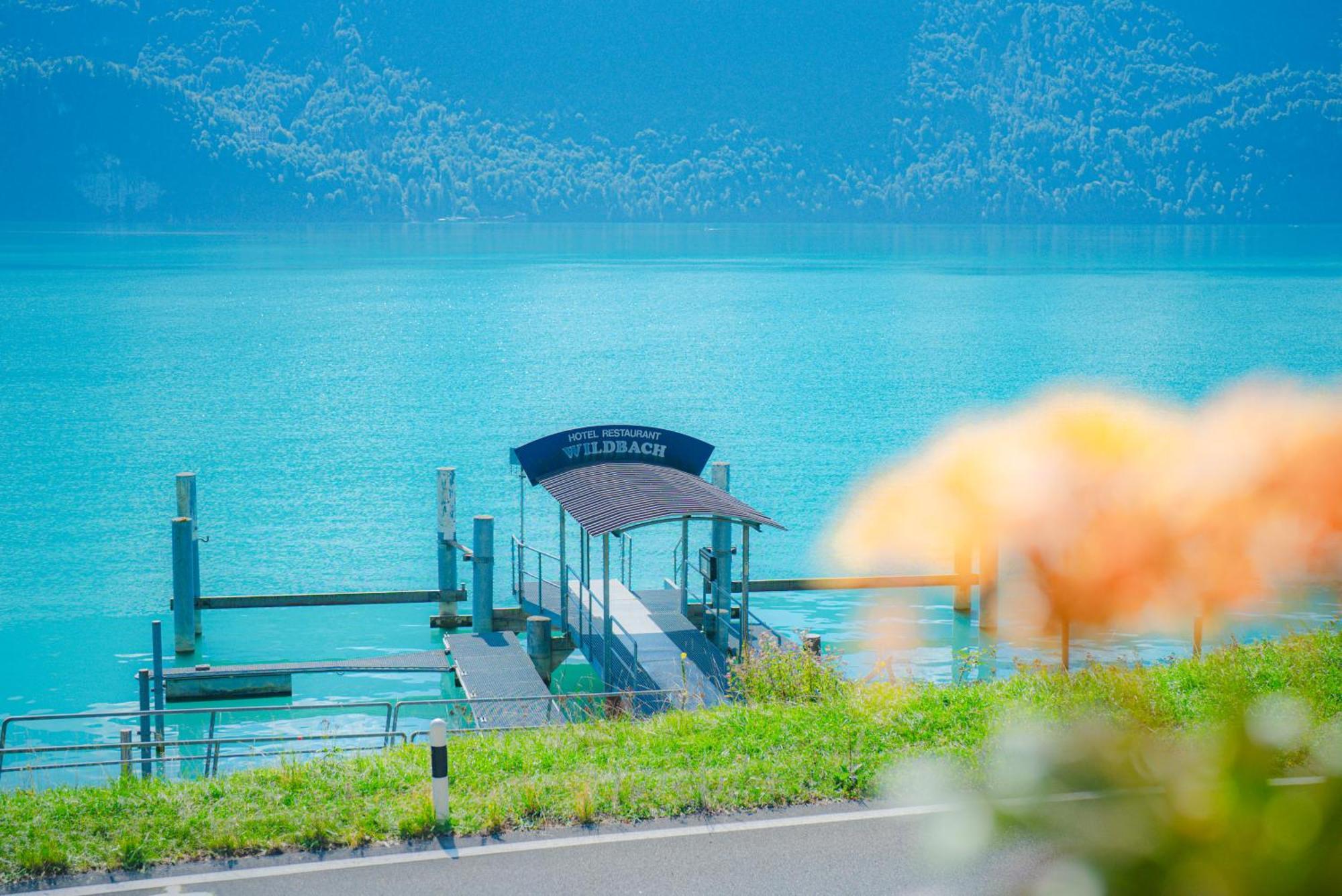 ברינץ Hotel Wildbach Brienz מראה חיצוני תמונה
